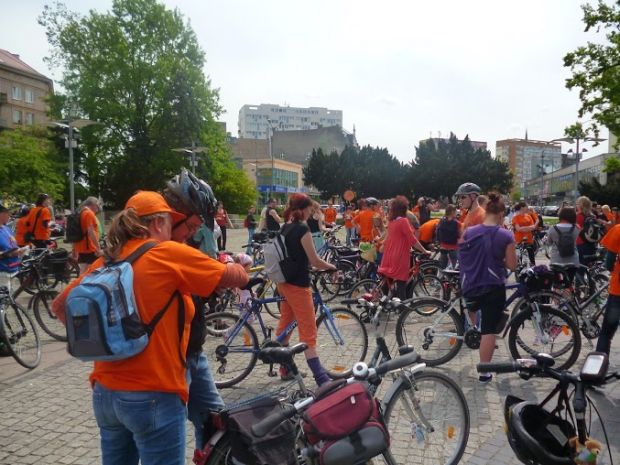 objazdowy-bibliotekarz-szczecin-2013
