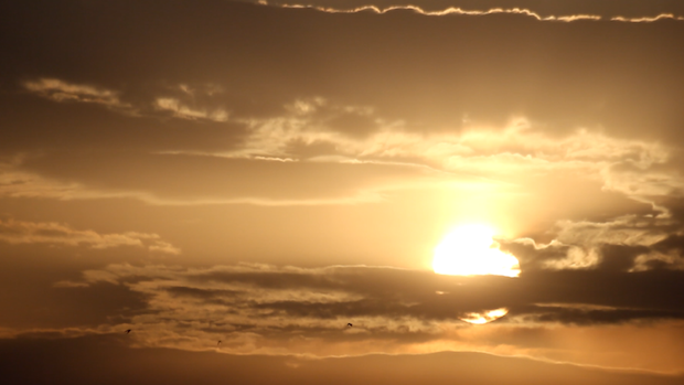 zombie-strange-mental-universe-05