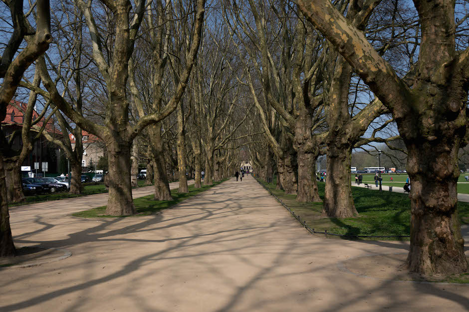 Świetne miejsce do spacerów i dla biegaczy.