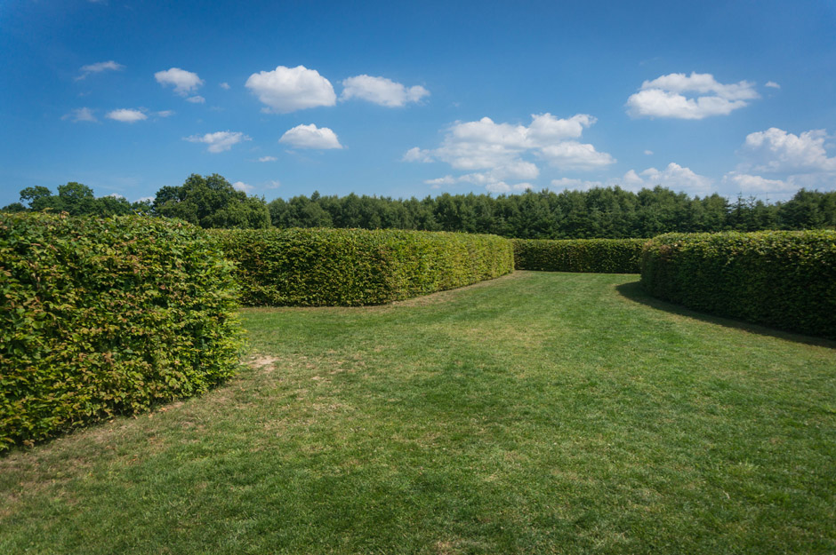 Ale co tam wieża. Idziemy spełniać marzenia... czyli do labiryntu. 