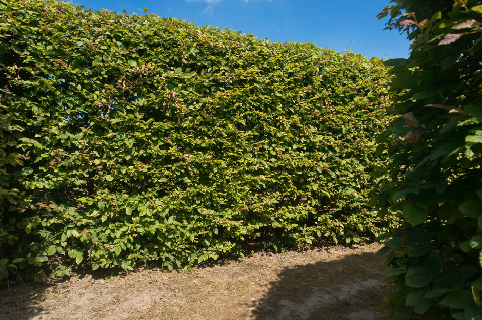 Co będzie za rogiem? Pewnie ślepy zaułek... swoją drogą jest ich tam całkiem sporo. 