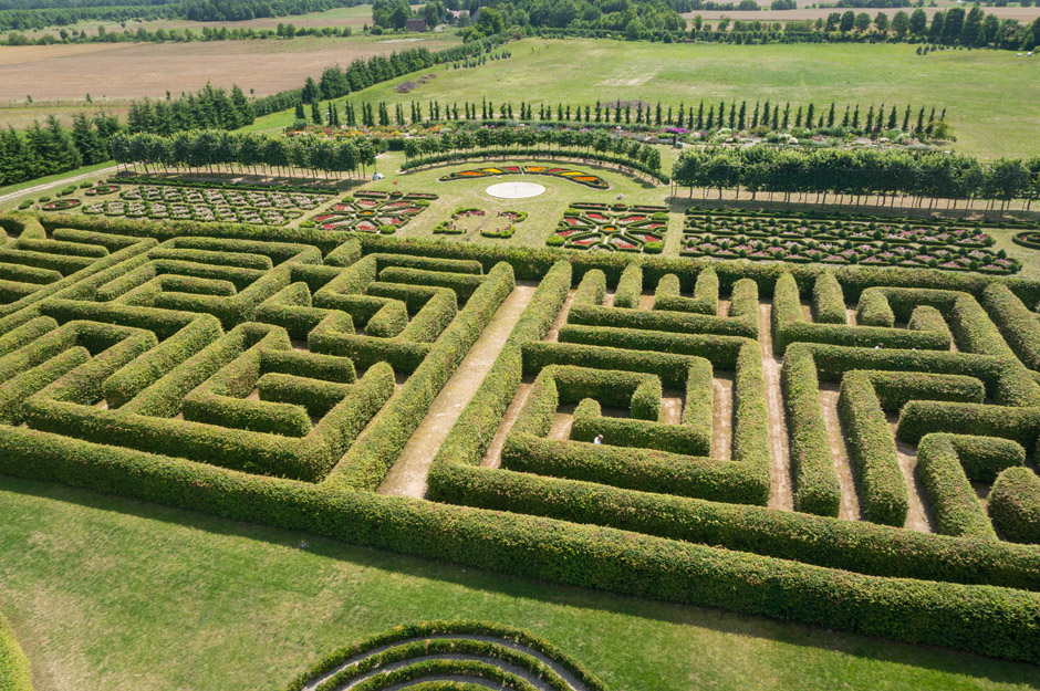 Pierwsze żywopłoty zostały zasadzone 11 lat temu. 
