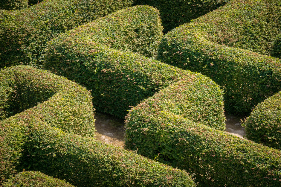 ogrody-hortulus-zdjecia-2014-03-7