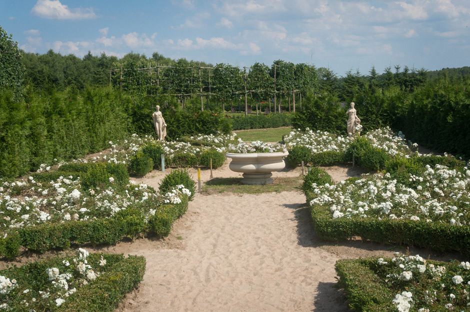 Ogród białych róż. Taka nasza różanka w wersji premium. 