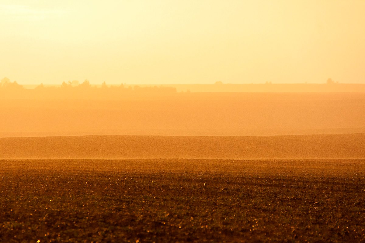 Deszcz na polu. Branderburgia. Niemcy
