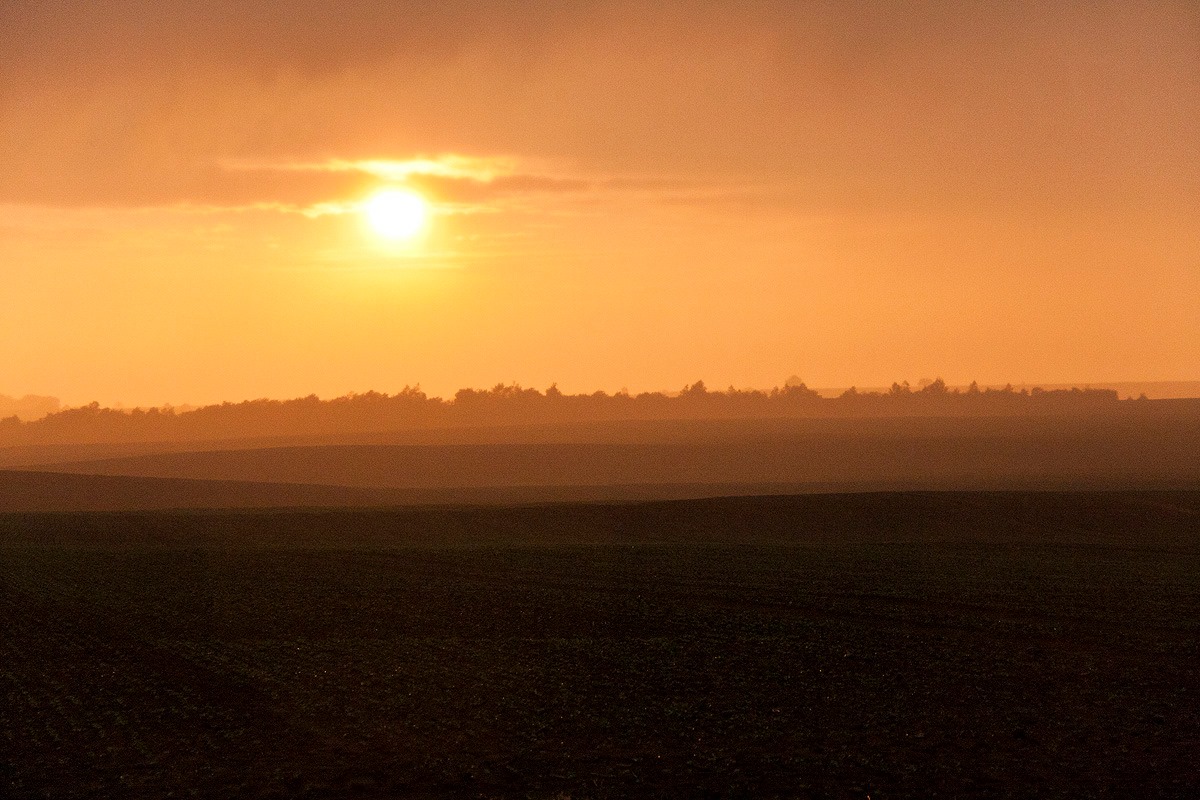Deszcz na polu. Wrzesień. Brandenburgia, Niemcy