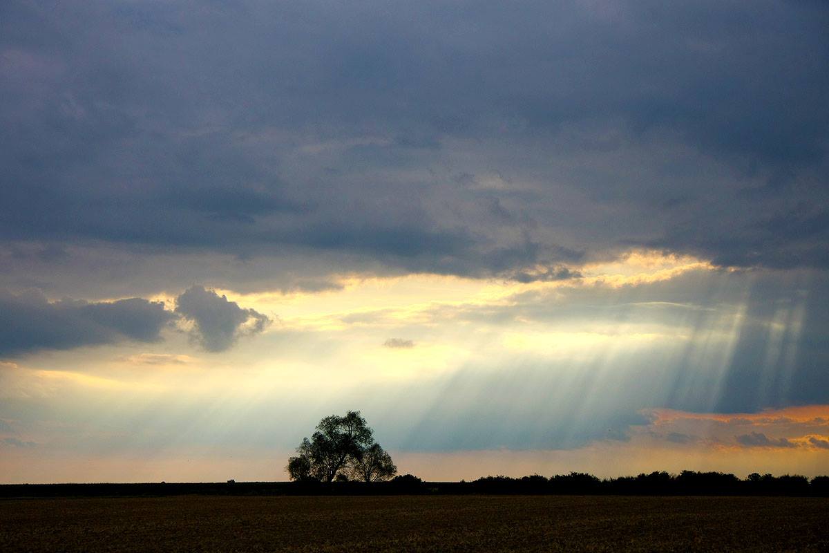 Słoneczne promienie. Lipiec. Województwo Wielkopolskie
