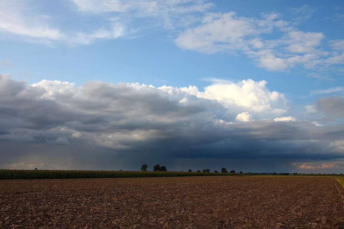 Idzie deszcz. Lipiec. Województwo Wielkopolskie