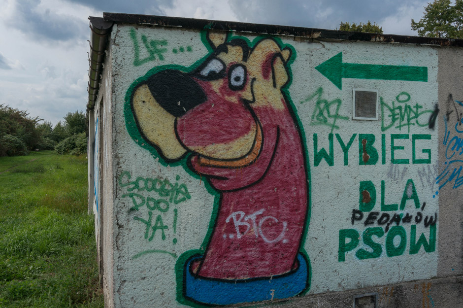 Scooby Doo zaprasza na wybieg dla psów. 