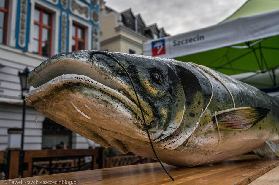 Musiała wyskoczyć z Odry... 