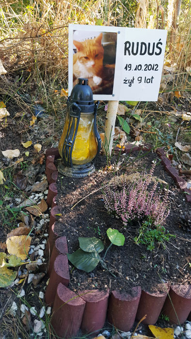 20151010_143232
