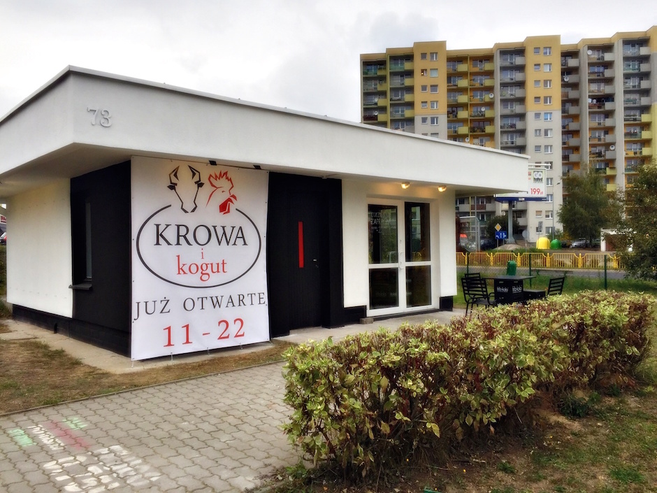 kogut-krowa-szczecin